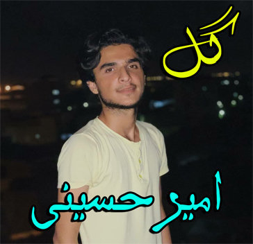 امیر حسینی گل